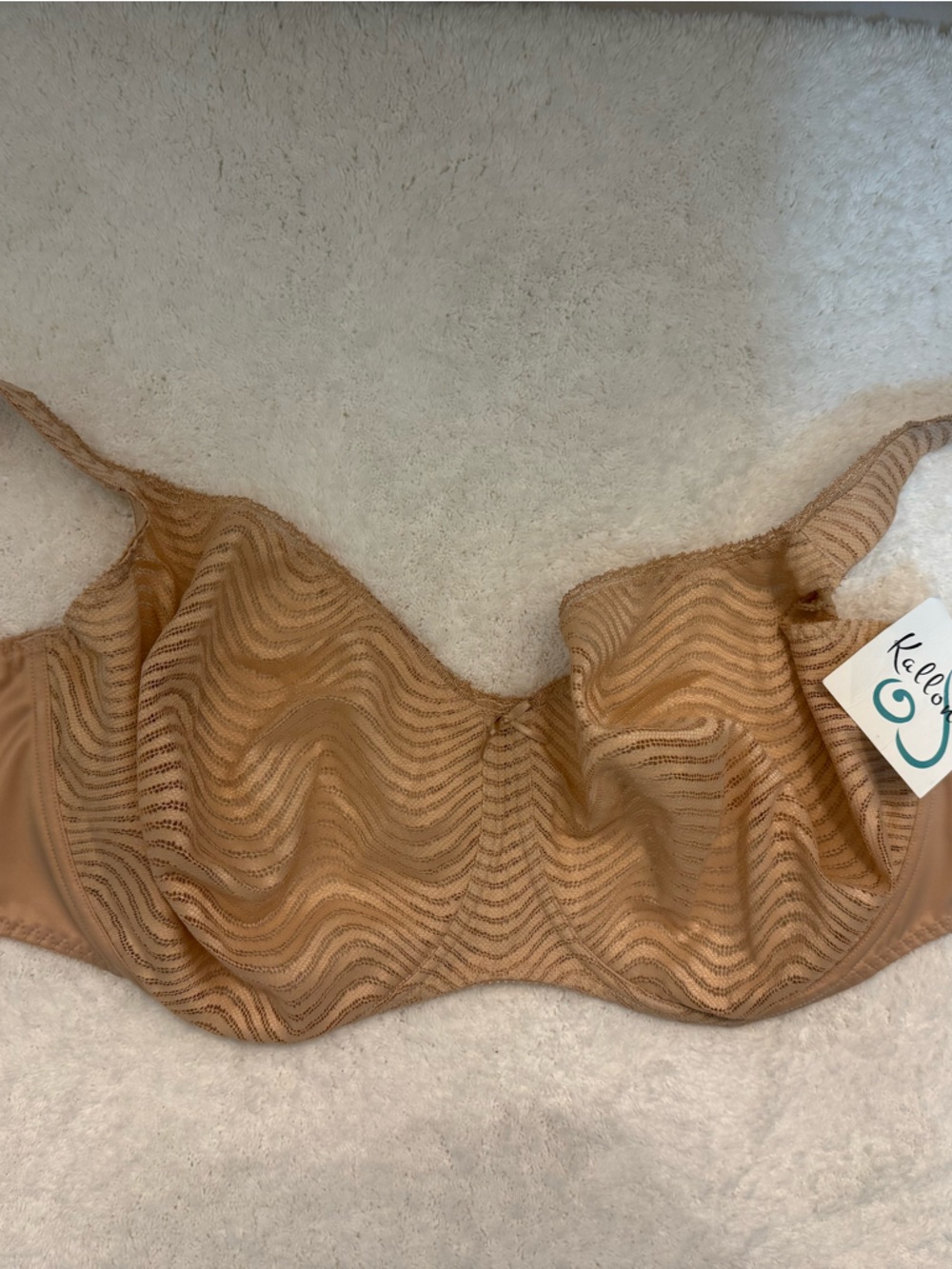 Empreinte  Women’s Sheer Wave Lace Bra in Tan